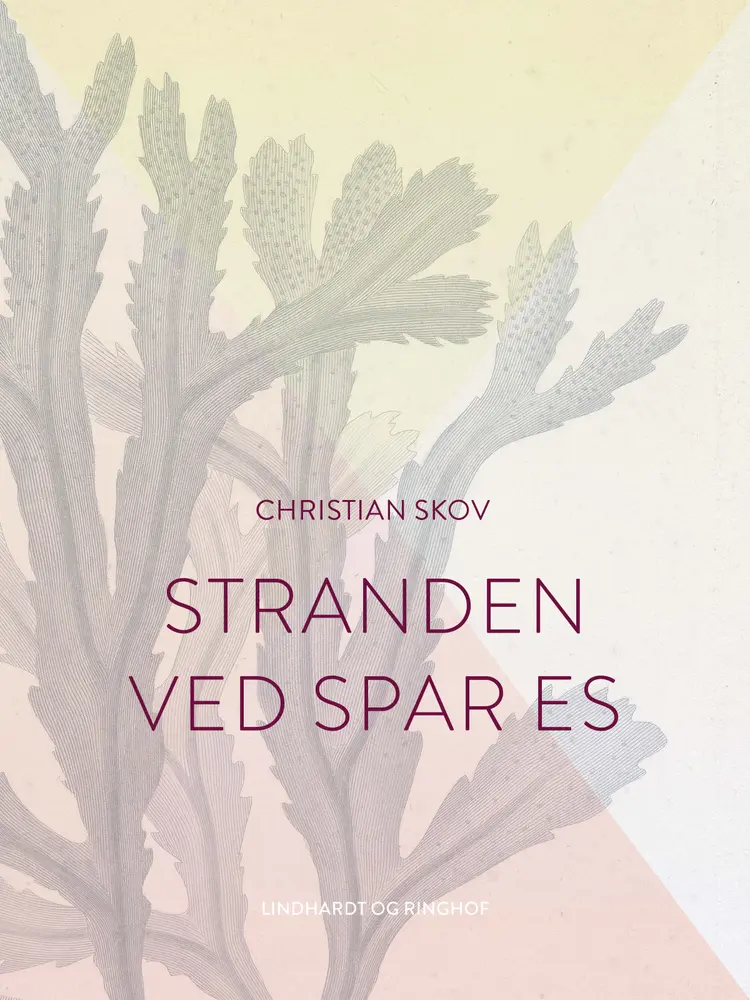 Stranden ved Spar Es af Christian Skov