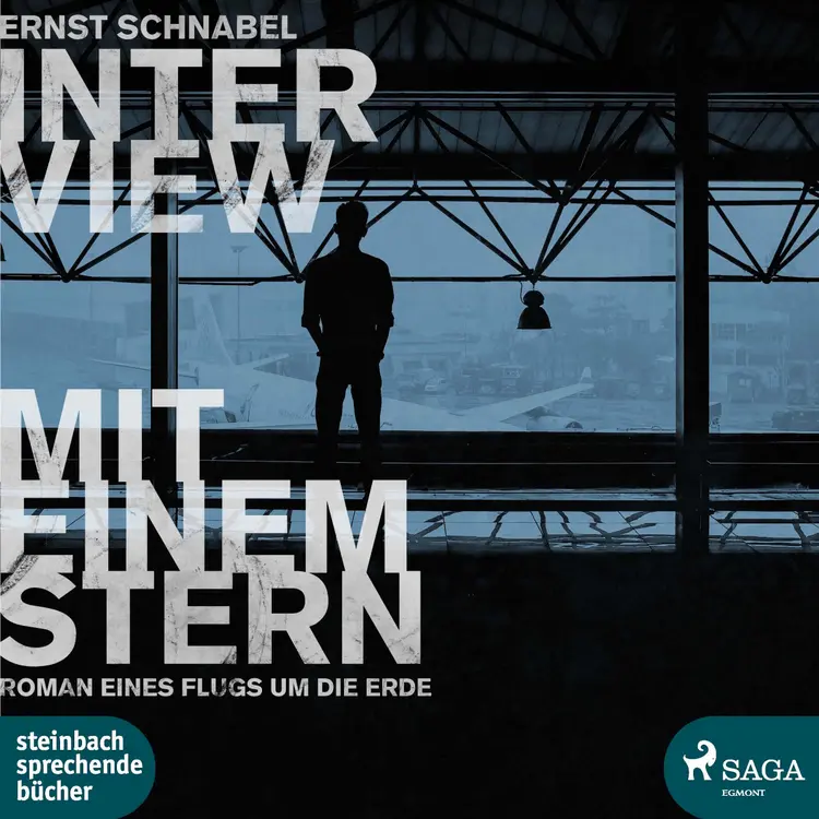 Interview mit einem Stern - Roman eines Flugs um die Erde af Ernst Schnabel