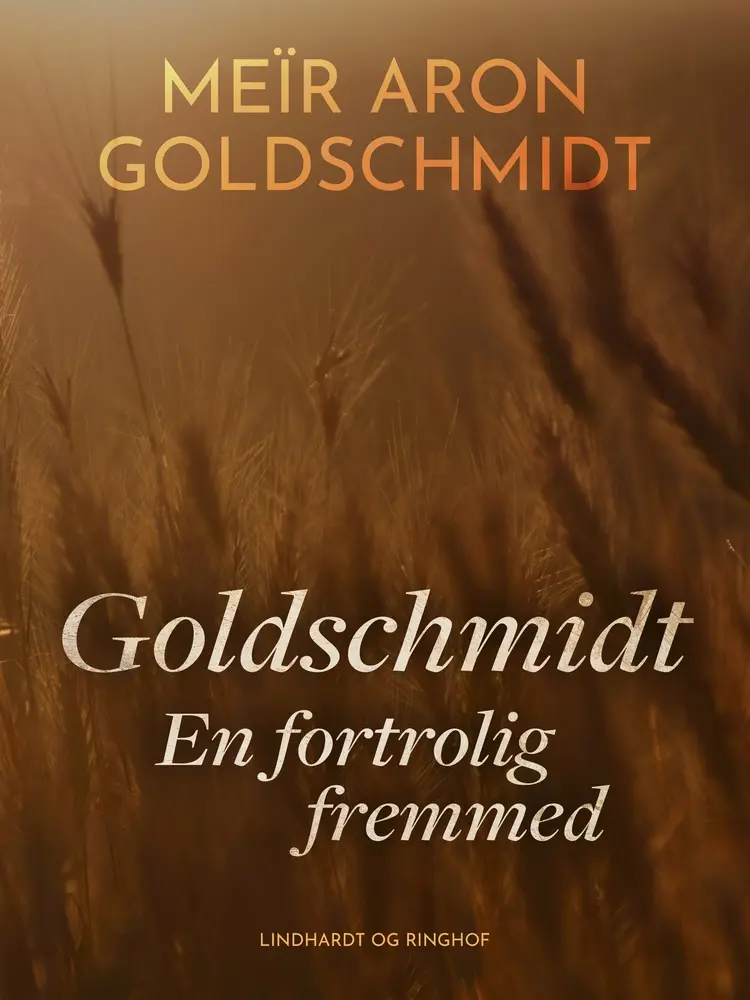 Goldschmidt. En fortrolig fremmed af Meïr Aron Goldschmidt