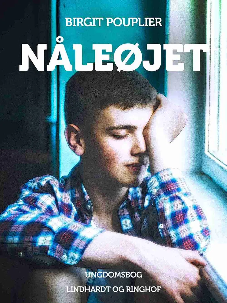 Nåleøjet af Birgit Pouplier
