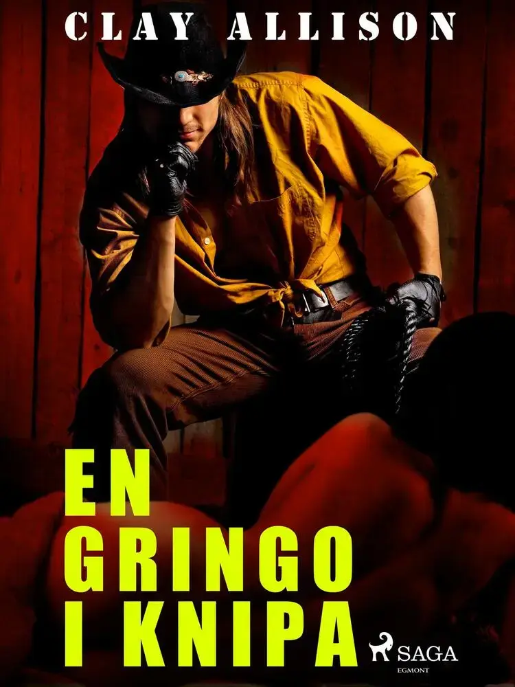 En gringo i knipa af William Marvin Jr