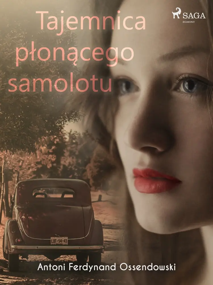 Tajemnica płonącego samolotu af Antoni Ossendowski
