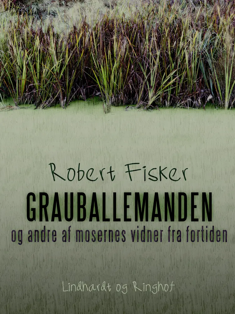 Grauballemanden og andre af mosernes vidner fra fortiden af Robert Fisker