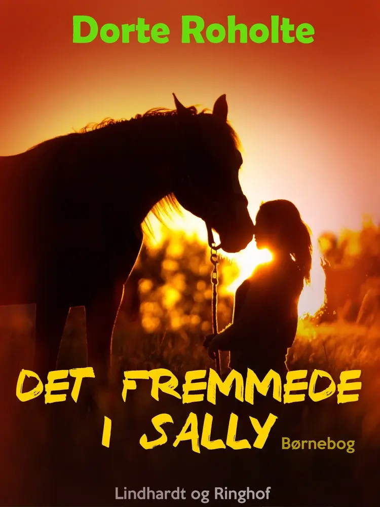Det fremmede i Sally af Dorte Roholte