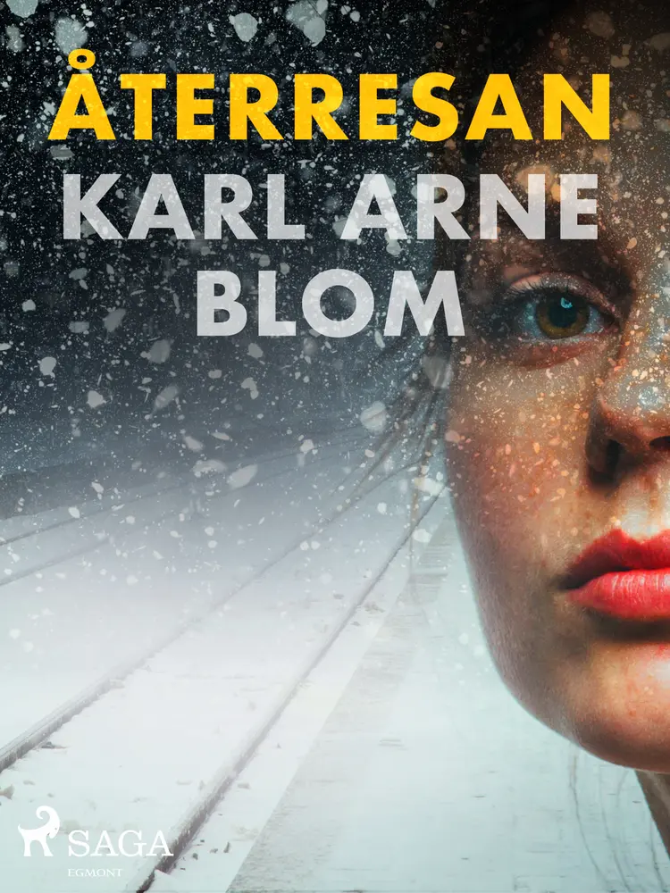 Återresan af Karl Arne Blom