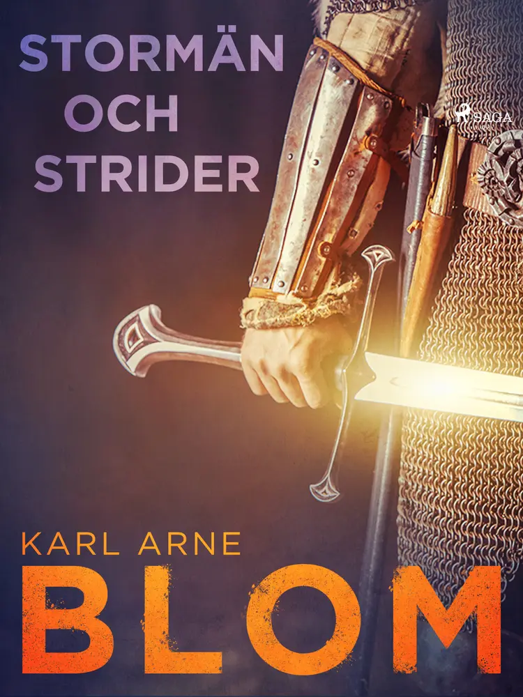 Stormän och strider af Karl Arne Blom