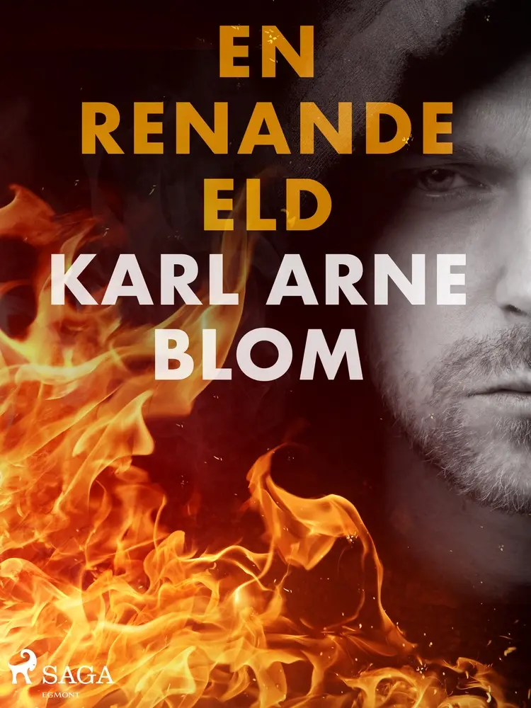 En renande eld af Karl Arne Blom