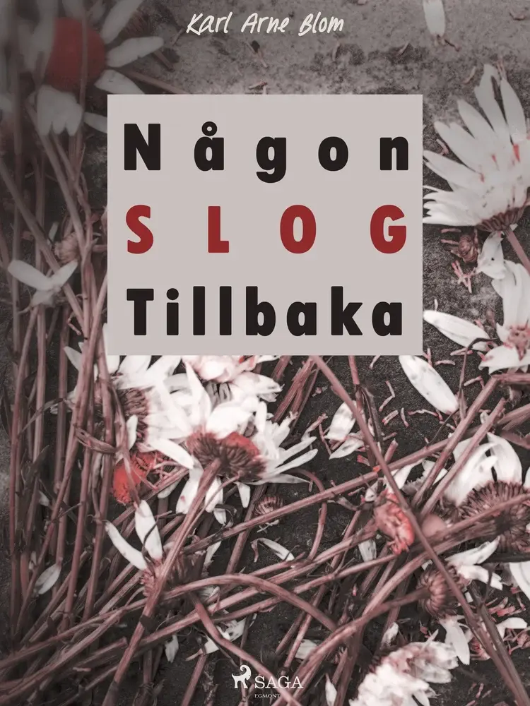 Någon slog tillbaka af Karl Arne Blom