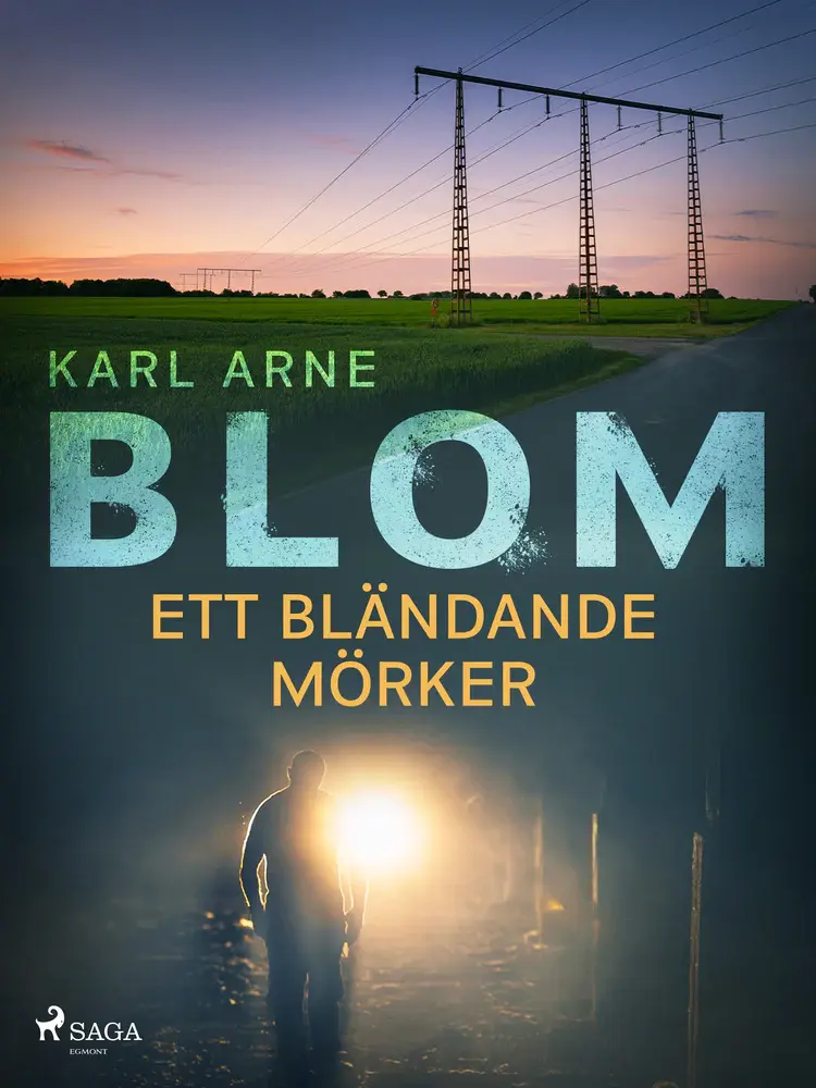 Ett bländande mörker af Karl Arne Blom