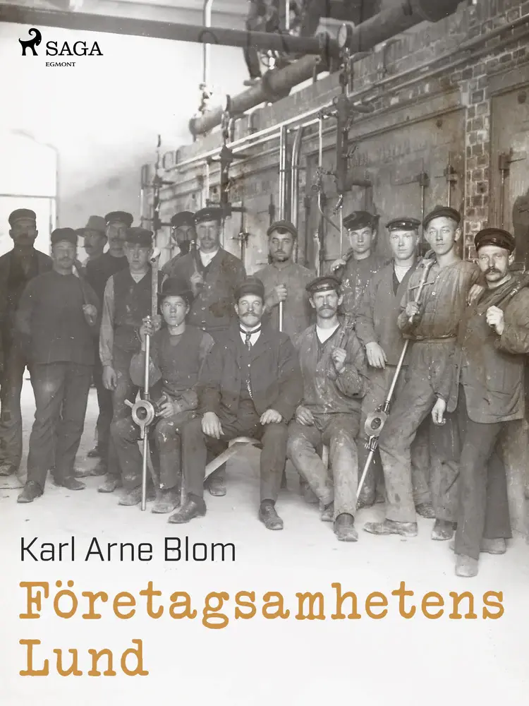 Företagsamhetens Lund af Karl Arne Blom