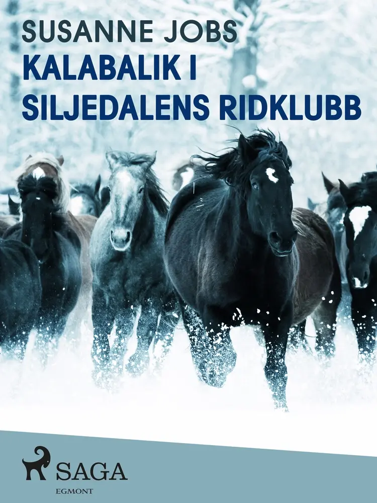 Kalabalik i Siljedalens ridklubb af Susanne Jobs