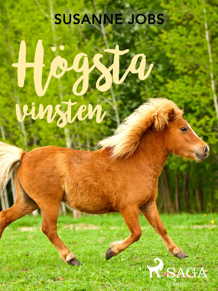 Högsta vinsten af Susanne Jobs