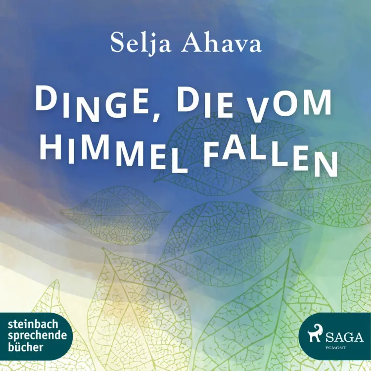 Dinge, die vom Himmel fallen af Selja Ahava