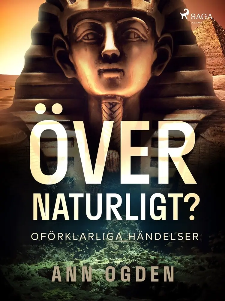 Övernaturligt? Oförklarliga händelser af Ann Ogden