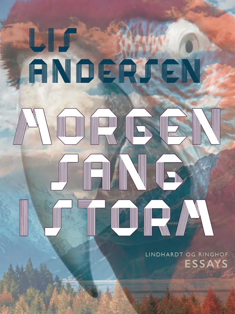 Morgensang i storm af Lis Andersen