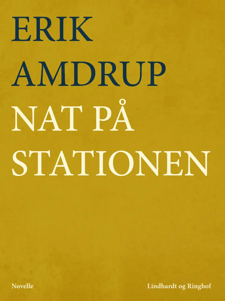 Nat på stationen af Erik Amdrup