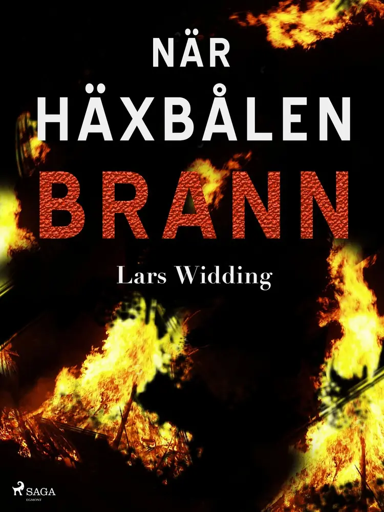 När häxbålen brann af Lars Widding