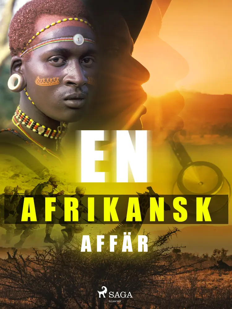 En afrikansk affär af Lars Widding