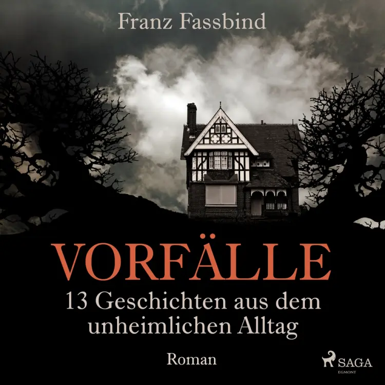 Vorfälle. 13 Geschichten aus dem unheimlichen Alltag af Franz Fassbind
