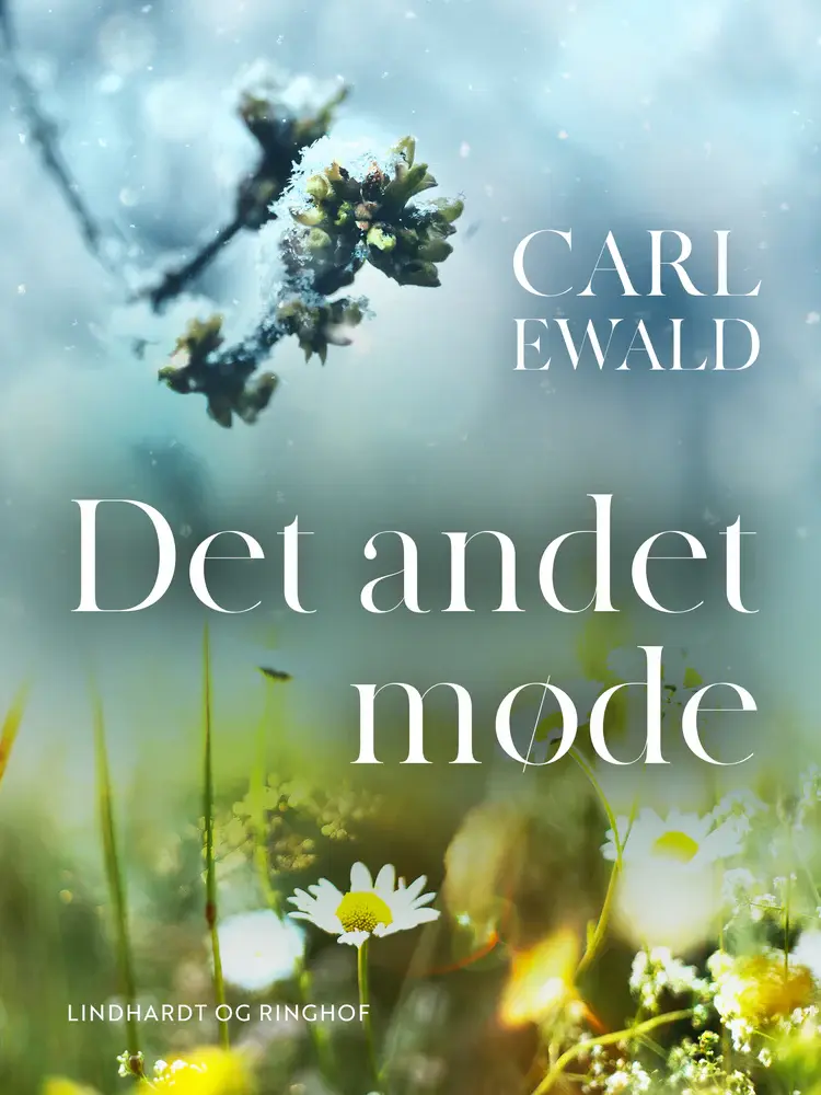 Det andet møde af Carl Ewald
