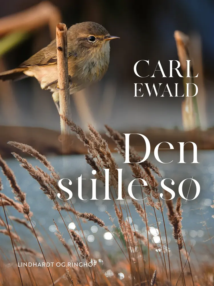 Den stille sø af Carl Ewald