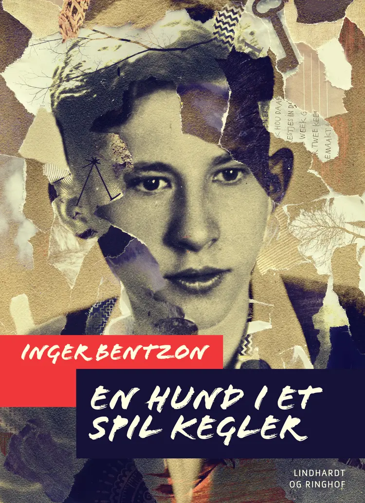 En hund i et spil kegler af Inger Bentzon