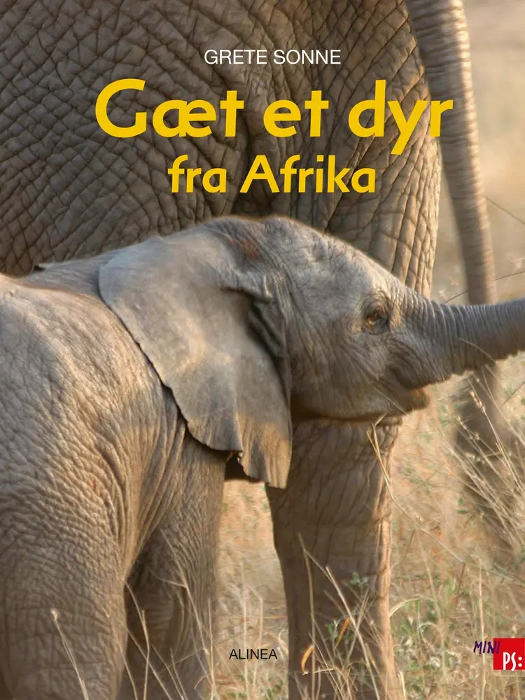 Gæt et dyr fra Afrika af Grete Sonne