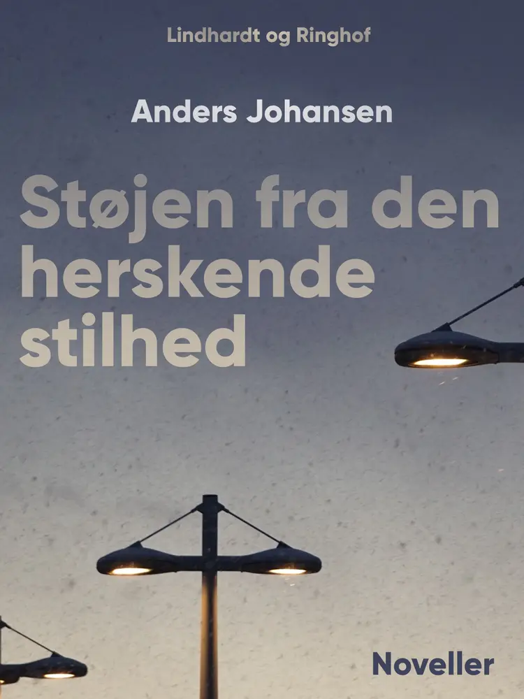 Støjen fra den herskende stilhed af Anders Johansen