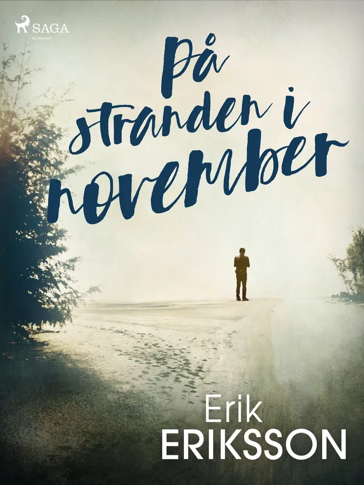 På stranden i november af Erik Eriksson