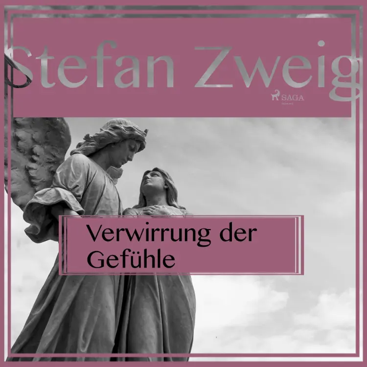 Verwirrung der Gefühle af Stefan Zweig