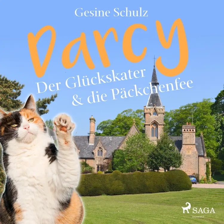 Darcy - Der Glückskater & die Päckchenfee af Gesine Schulz