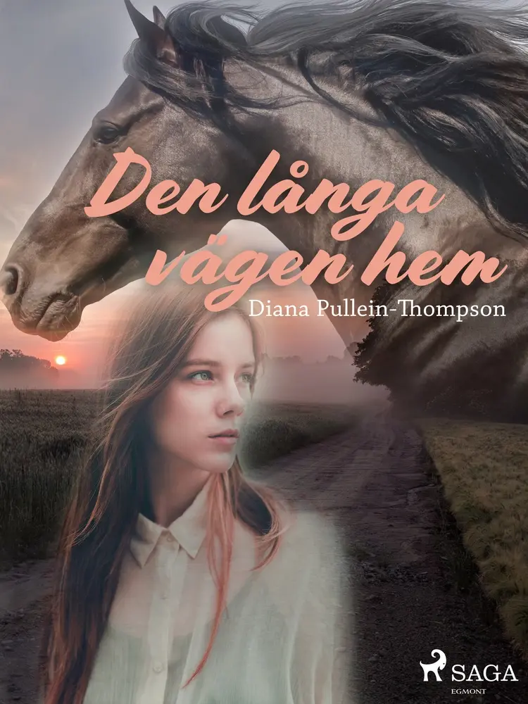 Den långa vägen hem af Diana Pullein-Thompson