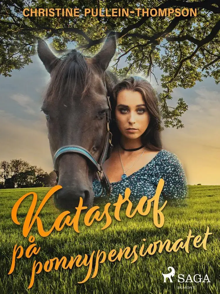 Katastrof på ponnypensionatet af Christine Pullein Thompson