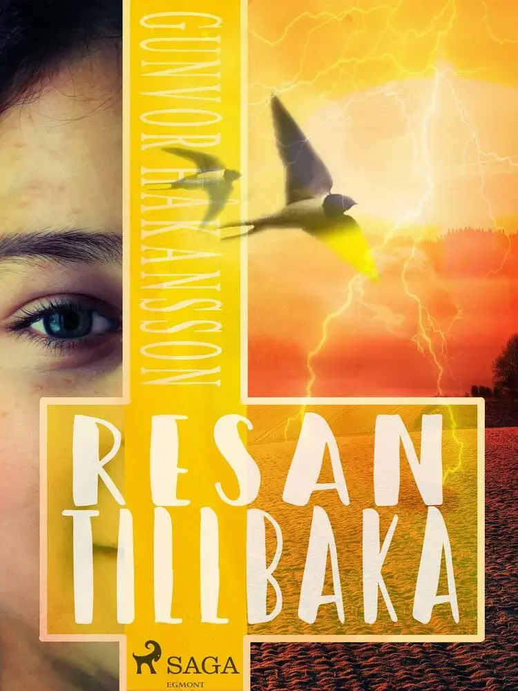 Resan tillbaka af Gunvor Håkansson