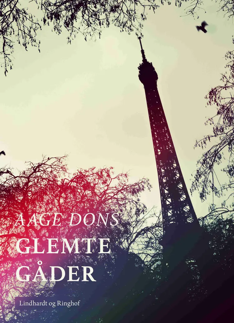 Glemte gåder af Aage Dons