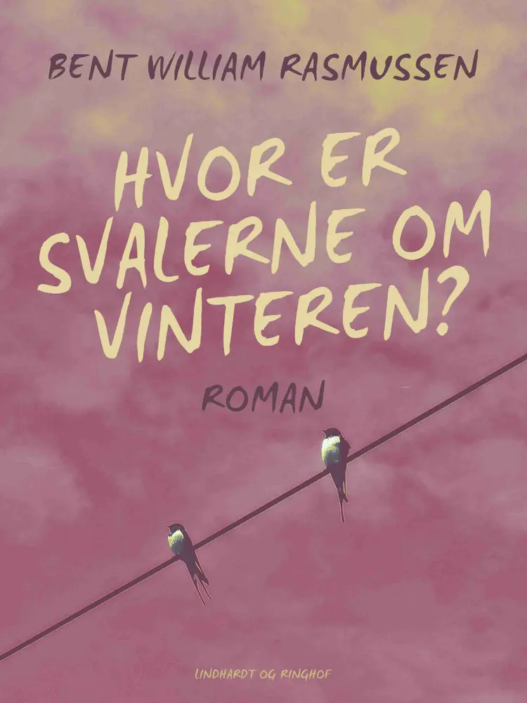 Hvor er svalerne om vinteren? af Anne Strandvad