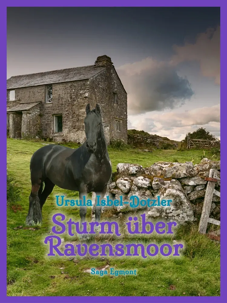 Sturm über Ravensmoor af Ursula Isbel Dotzler