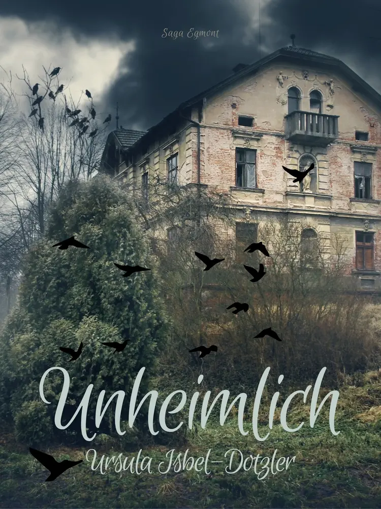 Unheimlich af Ursula Isbel Dotzler