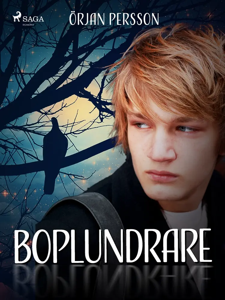 Boplundrare af Örjan Persson