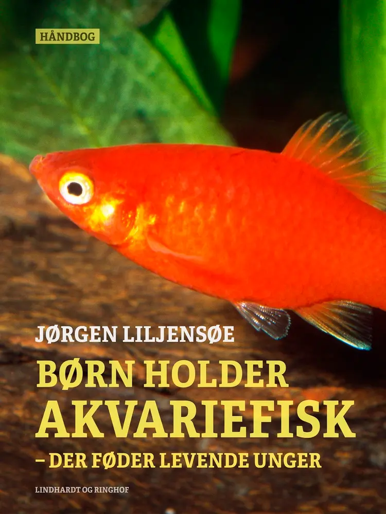 Børn holder akvariefisk - der føder levende unger af Jørgen Liljensøe