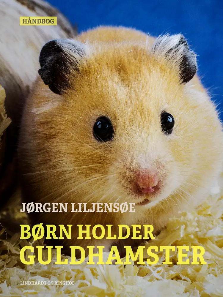 Børn holder guldhamster af Jørgen Liljensøe