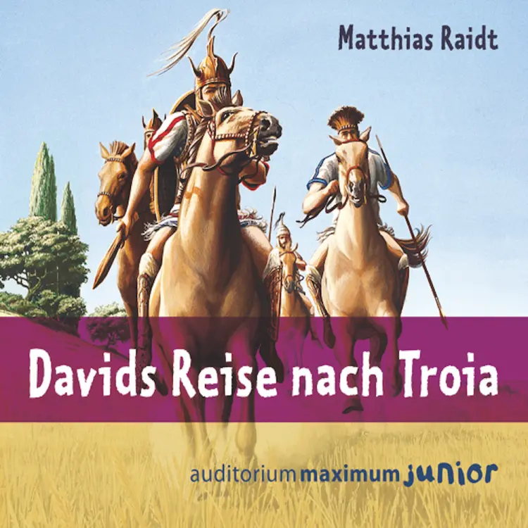 Davids Reise nach Troia af Matthias Raidt