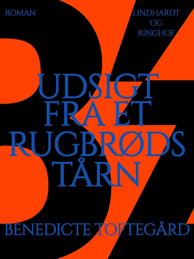 Udsigt fra et rugbrødstårn af Benedicte Toftegård