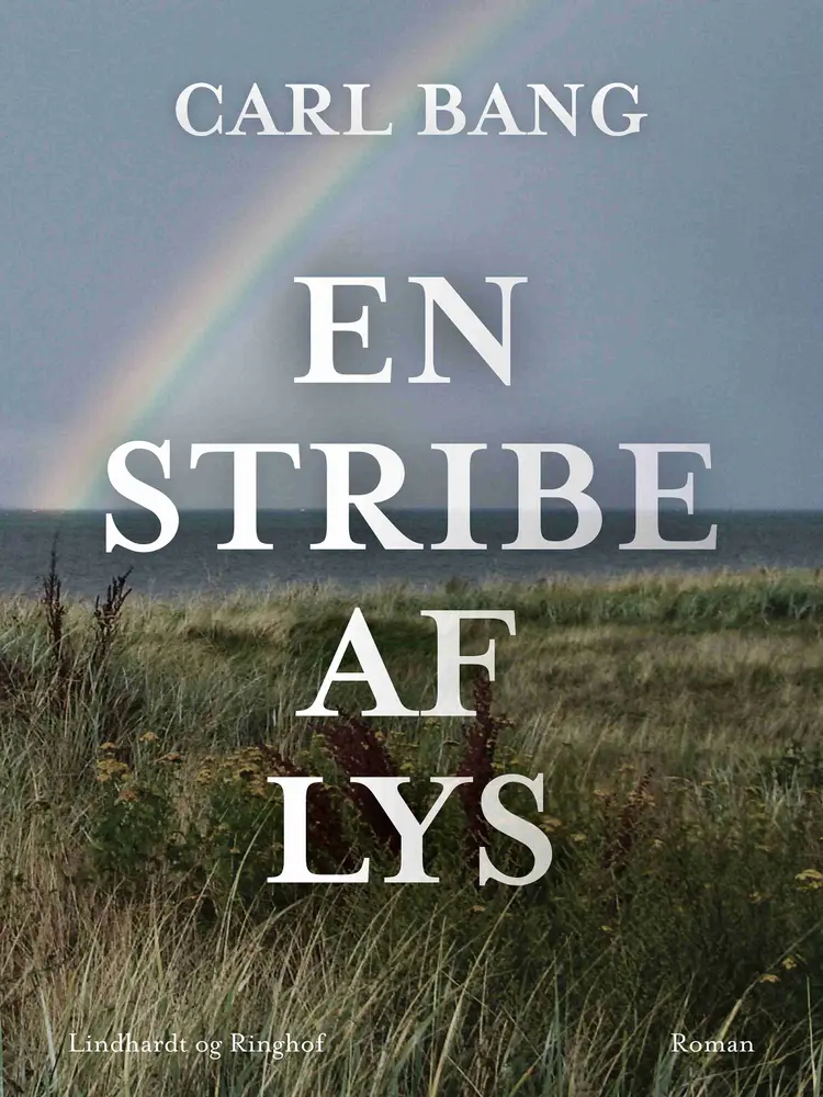 En stribe af lys af Carl Bang