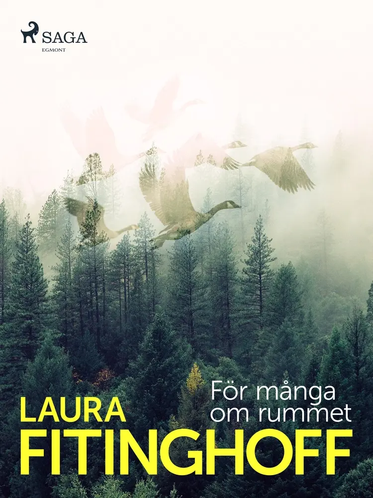 För många om rummet af Laura Fitinghoff