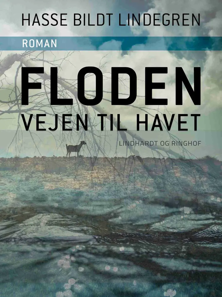 Floden - vejen til havet af Hasse Bildt Lindegren