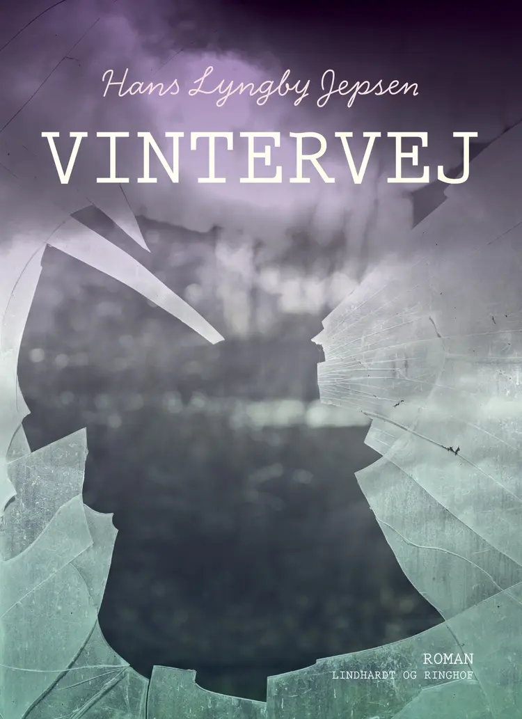 Vintervej af Hans Lyngby Jepsen
