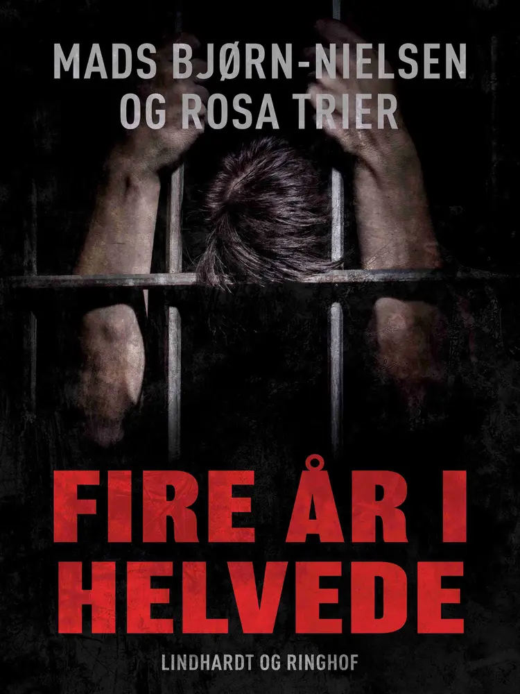 Fire år i helvede af Mads Bjørn-Nielsen