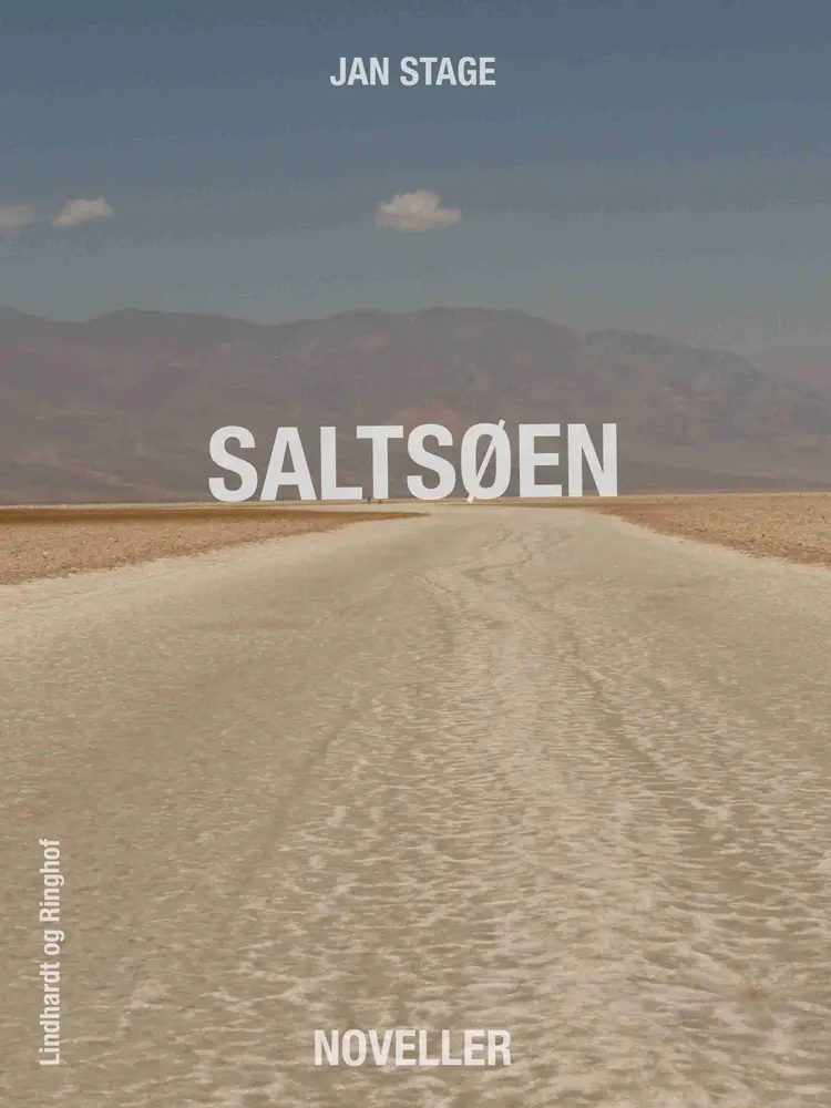 Saltsøen af Jan Stage