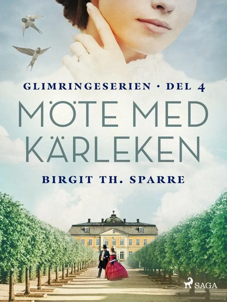 Möte med kärleken af Birgit Th. Sparre